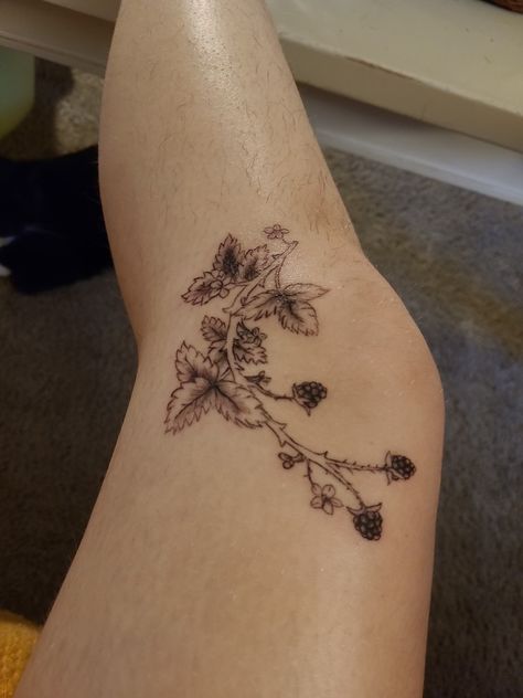 black ink blackberry vine tattoo on outside of knee Knee Tattoo Vine, Knee Vines Tattoo, Berry Vines Tattoo, Vine Down Leg Tattoo, Knee Vine Tattoo, Orange Branch Tattoo, Tattoo Ideas Knee, Blackberry Vine Tattoo, Blackberry Vine Tattoo Arm