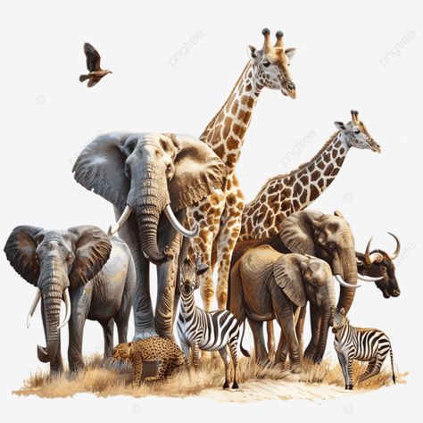 safari hunting in africa wild animals safari hunting africa png Hunting Africa, Animals Safari, Beach Watercolor, Transparent Image, Wild Animals, Png Transparent, Png Image, Digital Image, Animals Wild