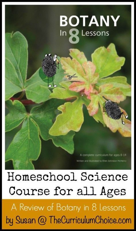 Gardening School Activities, Botany Experiments, Horticulture Education, Botany Lessons, High School Electives, Science Homeschool, Homeschool Science Curriculum, Nature School, Science Topics