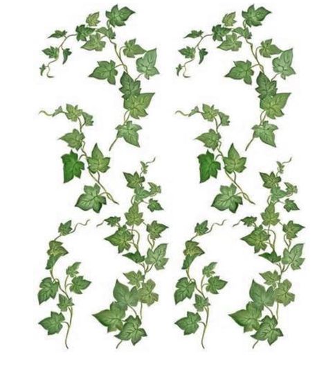 Vine Illustration, Ivy Wallpaper, Identifying Trees, Ivy Tattoo, Vine Drawing, Plant Wedding, Ring Tattoo, Leaf Tattoo, Wedding Ring Tattoo