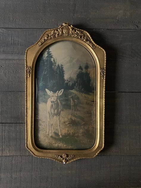 Antique Art Frame, Old Picture Frames On The Wall, Portrait Frame Ideas, Vintage Frame Aesthetic, Vintage Picture Frames On The Wall, Old Picture Frame Ideas, Picture Frame Aesthetic, Aesthetic Picture Frame, Old Photo Frames