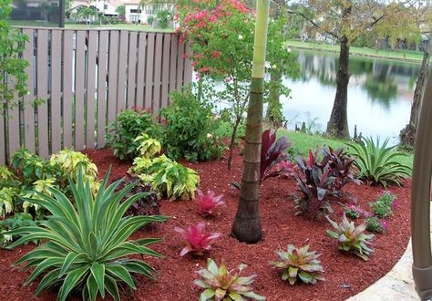 Cypress mulch and recycled content colored mulch are very popular Red Mulch, Small Tropical Gardens, Tropical Landscape Design, Mulch Landscaping, Florida Landscaping, Tropical Garden Design, Tropical Backyard, Front Garden Design, Landscaping Images