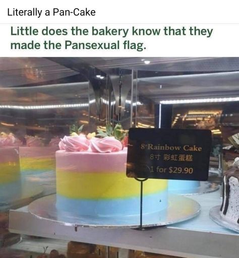 Pan Jokes, Gay Bacon, Pride Cake, Queer Humor, Pan Flag, Flag Food, Pansexual Flag, Flag Cake, Looking For Friends