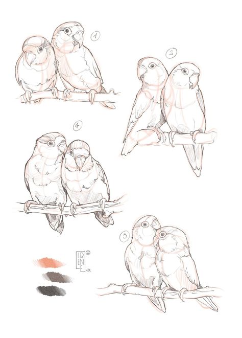 Art by Jon Kuo Birds In Love Drawing, Two Birds Drawing, Animals In Love Drawing, Lovebirds Drawing, Lovebird Drawing, Love Bird Drawing, Lovebirds Painting, Bird Art Drawing, Irene Meniconi