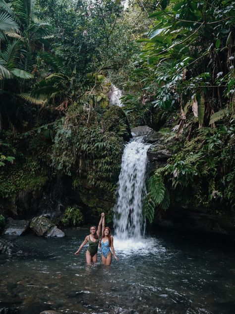 Puerto Rico Vacation Aesthetic, El Yunque Puerto Rico, Rainforest Pictures, Isabela Puerto Rico, Vieques Puerto Rico, El Yunque Rainforest, El Yunque National Forest, Puerto Rico Trip, Puerto Rico Vacation