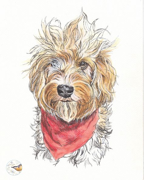 Pen And Watercolor Animals, Line And Wash Animals, Line And Wash Flowers, Line And Wash Portrait, Draw Dogs, Embroidery Journal, Line And Wash, Scruffy Dogs, Dog Watercolor Painting