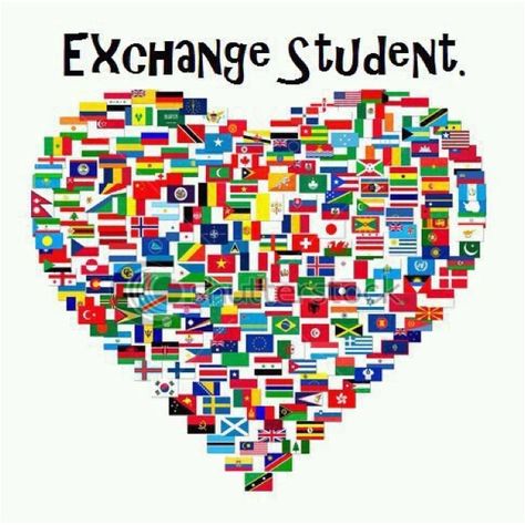 ONCE AN EXCHANGE STUDENT ALWAYS AN EXCHANGE STUDENT #okanuniversity #studyabroad #internationalstudent #studyinturkey #istanbul #highereducation Hosting An Exchange Student, Student Exchange Program, Foreign Exchange Student, Senior Year Of High School, Student Guide, Exchange Student, Student Travel, Quotes For Students, Foreign Exchange