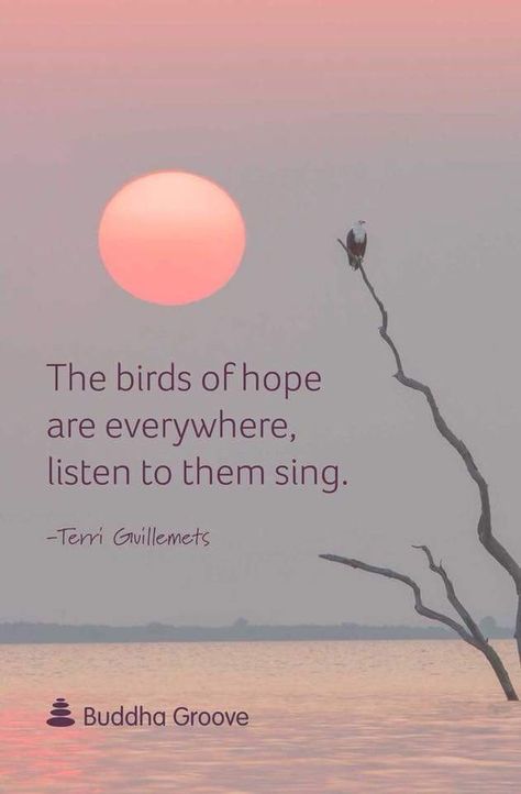 Singing Quotes Funny, Bird Sayings, Quotes About Hope, Buddha Thoughts, Singing Quotes, Bird Quotes, Animal Supplies, Happy Sunday Quotes, Soothing Quotes