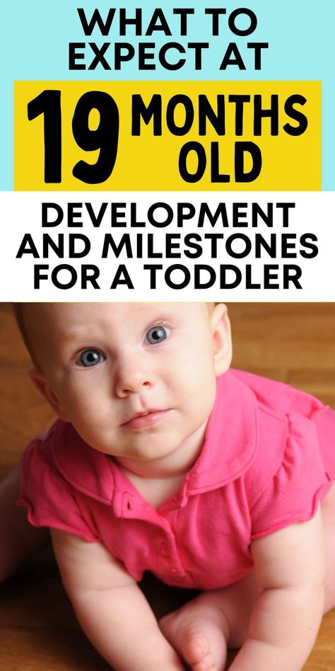 Teach Toddler To Talk, Newborn Play, 19 Month Old, Toddler Board, Toddler Milestones, Development Milestones, Easy Toddler Activities, Meal Times, Developmental Stages