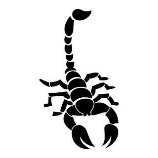 TATTOOS: Scorpion Tattoo Stencils Auto Humor, Brush Tattoo, The Scorpions, Scorpio Tattoo, Scorpion Tattoo, Tattoo Templates, Cowgirl Art, Silhouette Stencil, Tattoo Stencils