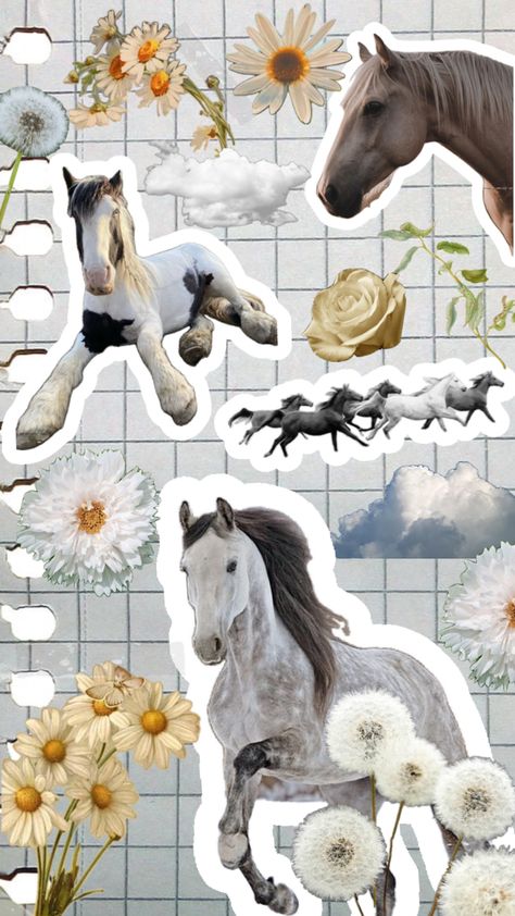 Horse Wallpaper, Horse Aesthetic, Wallpaper Collage, Aesthetic Collage, Create Collage, Farm Life, Creative Play, Your Aesthetic, Connect With People