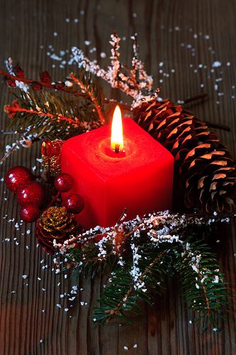 Christmas composition. Christmas Emoticons, Diwali Decorations At Home, Romantic Candles, Christmas Flower Arrangements, Christmas Post, Navidad Christmas, Candle Inspiration, Indoor Christmas Decorations, Pretty Christmas