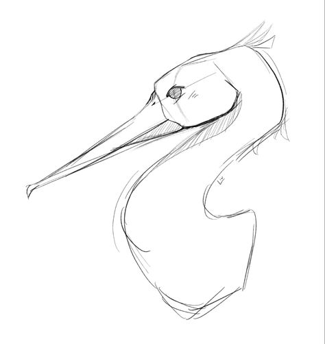 #drawing #birds #procreate #art Flying Bird Drawing Simple, Heron Sketch, Bird Movement Drawing, How To Draw A Bird Flying Easy, Heron Drawing, Quick Bird Sketch, Extinct Birds Drawing, Fly Drawing, Drawing Birds