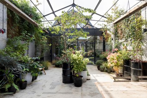 8 Types of People Who Need Greenhouse Inspiration Industrial Conversion, Imperfect Interiors, Terrace Designs, Trees In Pots, Urban Courtyards, Thesis Ideas, Interior Courtyard, Industrial Garden, Garden Interior