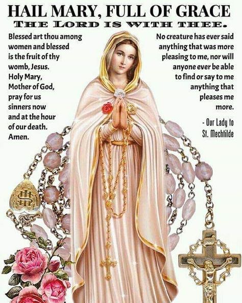 Instagram post by Católico Convicto • Oct 6, 2019 at 3:59pm UTC Mother Mary Rosary Images, Lady Of Rosary, Rosary Mary, Our Lady Of Rosary, Rosary Novena, Hail Mary Prayer, Salve Regina, Blessed Mary, Novena Prayers