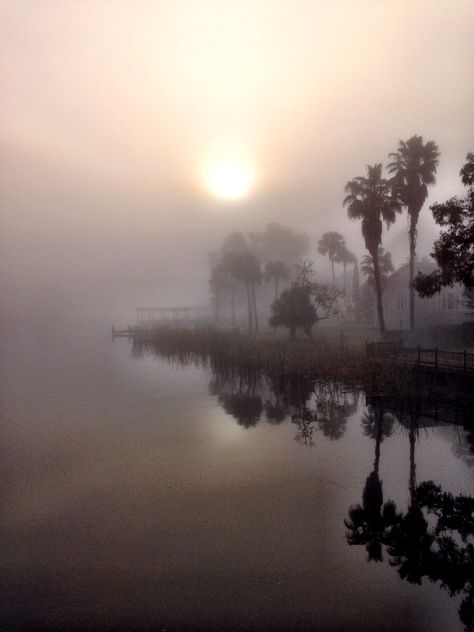 Foggy morn in Florida, taken by Photodezigner 12/3/13 Sea Inspiration, Florida Weather, Right Brain, Mist, Florida, Lifestyle, Quick Saves, Nature