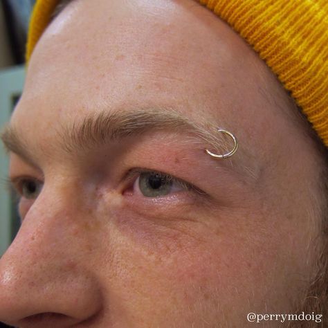 Eyebrow Piercing Hoop, Eyebrow Piercing Jewelry, Eyebrow Ring, Eyebrow Piercing, Piercing Ring, Funky Jewelry, Piercing Jewelry, Nostril Hoop Ring, Tattoos And Piercings