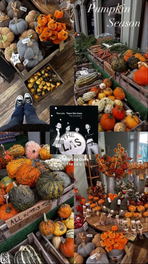 Fall Insta Story Template, Pumpkin Patch Instagram Story, Halloween Story Ideas Instagram, Halloween Insta Story Ideas, Halloween Ig Story Ideas, Fall Insta Story Ideas, Fall Story Instagram, Halloween Insta Story, Halloween Ig Story