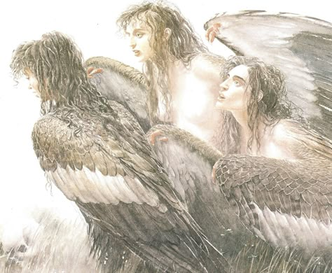 The Sirens by Alan Lee (Homer's Odyssey/Siren-Song/Greek Myths/The Wanderings Of Odysseus) Sirens Greek Mythology, Alan Lee Art, Greek Creatures, Homer Odyssey, Alan Lee, John Howe, Greek Pantheon, Greek Myths, Woodland Creatures