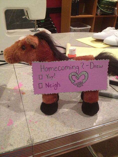 My idea for Drew to ask Julia (the equestrian) to homecoming! Homecoming? Yay or Neigh cute Hoco Proposal Cross Country, Preference Dance Asking Ideas, Horse Hoco Proposals, Preference Asking Ideas, Dance Asks Ideas, Homecoming Invite Ideas, Funny Ways To Ask To A Dance, Dance Ask Ideas, Horse Promposal Ideas