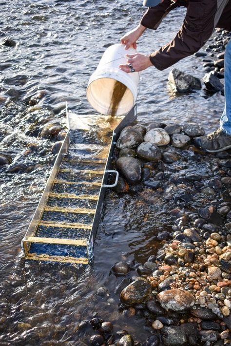 Best Sluice Box REVIEWS: Find More Gold With These Sluice Boxes! Gold Mining Aesthetic, Mining Aesthetic, Pippa Grant, Rock Tumbler Diy, Gold Sluice Box, Gold Sluice, Gold Mining Equipment, Gold Mines, Gold Panning