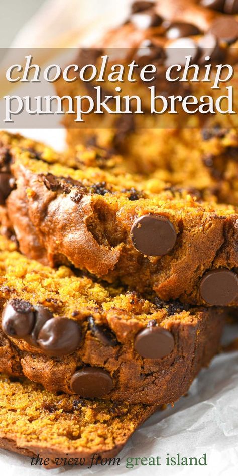 Gf Pumpkin Chocolate Chip Bread, Cake Mix Pumpkin Banana Bread, Pumpkin Loaf Easy, 2 Loaf Pumpkin Bread Recipe, Chocolate Chip Pumpkin Loaf, Pumpkin Bread Greek Yogurt, Pumpkin Choc Chip Bread, Pumpkin Loaf Recipe, Pumpkin Bread With Chocolate Chips