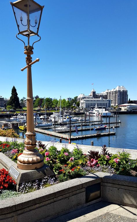 Downtown marina in Victoria, BC Victoria British Columbia Aesthetic, Downtown Victoria Bc, Victoria Bc Canada Aesthetic, Victoria Canada Aesthetic, Victoria Bc Aesthetic, Victoria Bc, Victoria Island Canada, Victoria Canada British Columbia, West Coast Canada