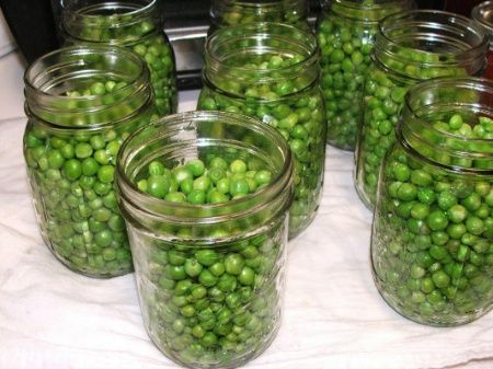 Canning Peas, Canning Squash, Canning Granny, Canning Storage, Canning 101, Canning Fruit, Canning Pickles, Canning Vegetables, Canned Food Storage