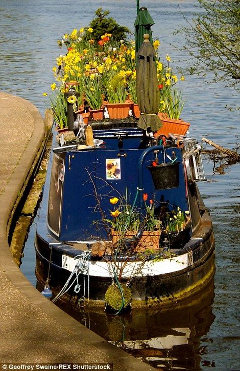 Boats Painting, Canal Barge, Boat House Interior, Houseboat Living, Dutch Barge, Canal Boats, Boat Paint, Lakefront Living, Living On A Boat