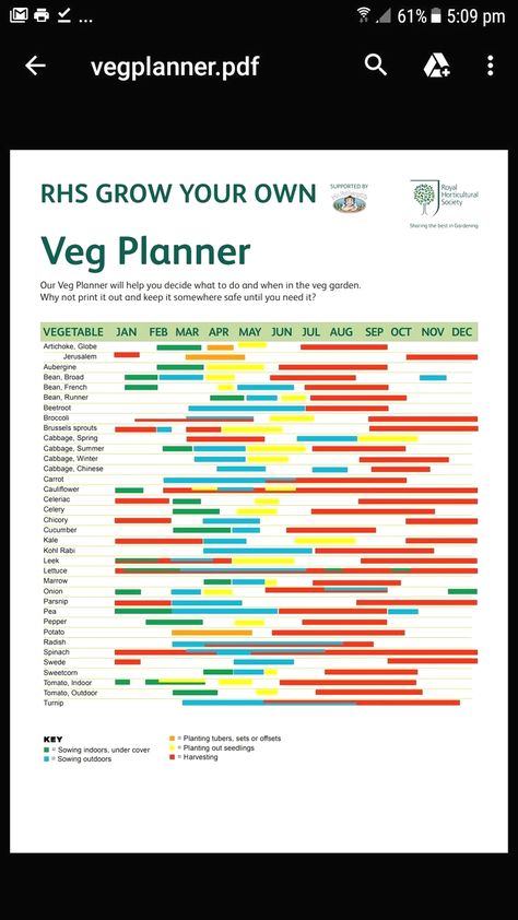 #gardening #gardeninghacks #gardeningtips Veg Growing In Small Gardens, When To Plant Vegetables Uk, Veg Patch Ideas Layout, Growing Vegetables Uk, Easy Veg To Grow Uk, Small Veg Patch Ideas, Vegetable Garden Uk, Vegetable Patch Design, Allotment Plan Layout