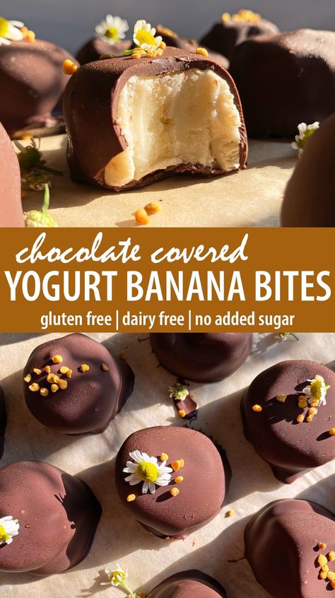 These frozen banana yogurt bites are paleo, vegan and have no added sugar. They're made with ripe bananas, dairy free yogurt and coated in dark chocolate. This banana bites recipe is the perfect summer treat! Chocolate Frozen Bananas, Banana Protein Bites, Banana Yogurt Bites, Frozen Banana Treats, Freezer Treats, Work Snacks, Adult Snacks, Frozen Yogurt Bites, Yogurt Banana