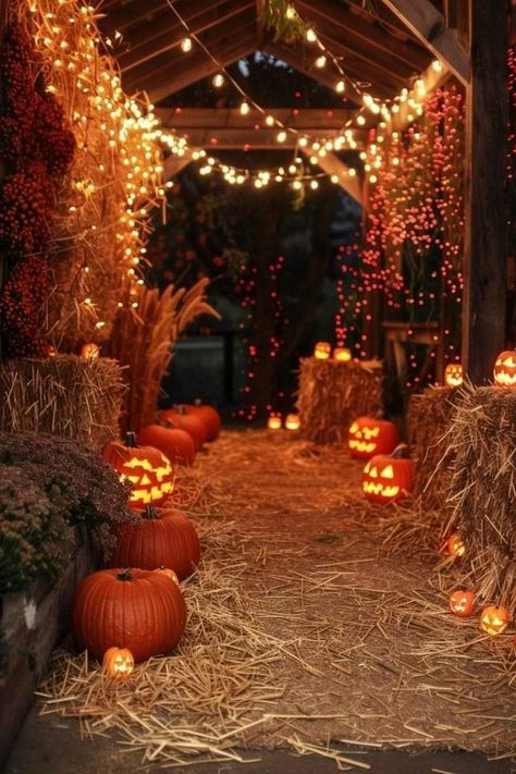 Halloween Front Porch Decor, Halloween Facts, Fall Fest, Elegant Halloween, Halloween Front Porch, Autumn Magic, Halloween Porch, Easy Diy Halloween, Fall Halloween Decor