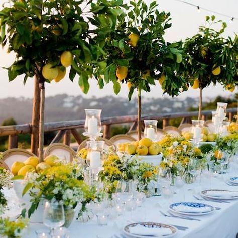 20 BEAUTIFUL SAN DIEGO WEDDING VENUES Tree Themed Wedding, Italian Bridal Showers, Olive Wedding, Lavender And Lemon, San Diego Wedding Venues, Italian Theme, Amalfi Coast Wedding, Places To Get Married, Instagram Wedding