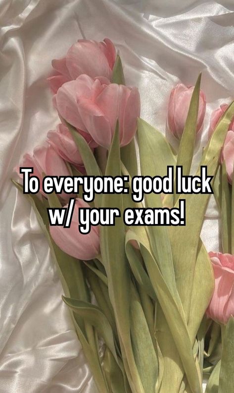 To everyone good luck with your exams! Whisper coquette aesthetic with flowers Good Luck With Your Exams, Good Luck Pictures, Good Luck For Exams, Luck Quotes, Good Luck Quotes, Handwritten Letters, Flowers For You, Good Luck To You, Study Motivation