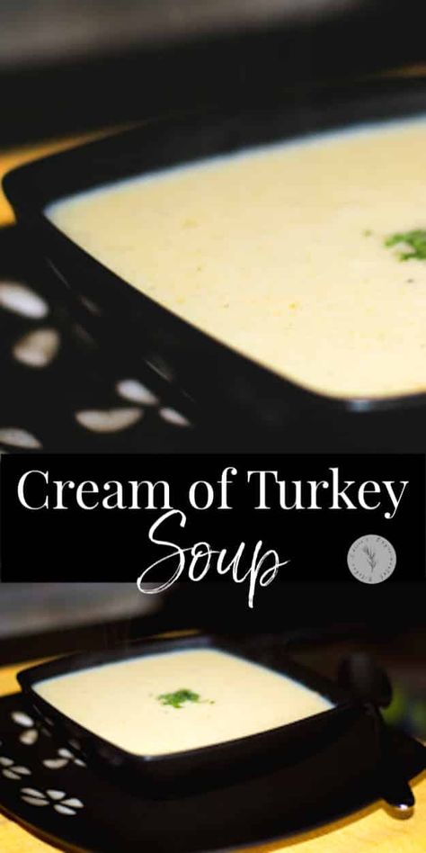 Cream Of Turkey Soup Recipe, Cream Of Turkey, Cream Of Turkey Soup, Turkey Stroganoff, Soup Turkey, Halloween Food Dinner, Leftover Thanksgiving, Chili Beans, Turkey Soup Recipe