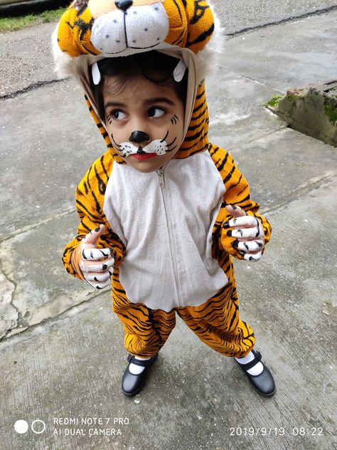 Fancy dress tiger costume Tiger Fancy Dress, Tiger Dress, Tiger Costume, Fancy Dress For Kids, School Decorations, Family Photoshoot, Wild Animals, Christmas Crafts Diy, Crafts Diy