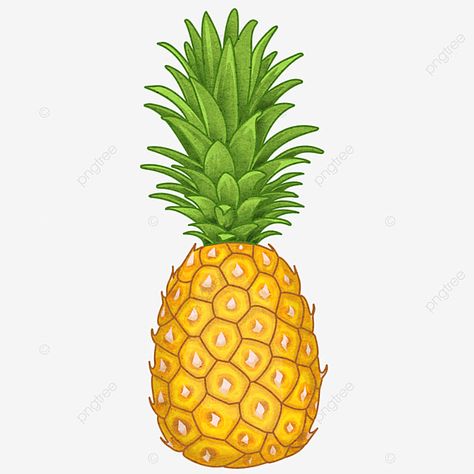 Pineapple Backgrounds, Pineapple Clipart, Pineapple Drawing, Cartoon Pineapple, Fruit Png, Fruit Combinations, Guava Fruit, Fruit Labels, Pineapple Planting