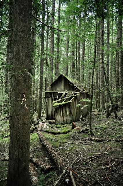 Witch Hut, Old Cabins, Old Cabin, Forest Cabin, Witch House, Forest House, Old Barns, Still Standing, Abandoned Buildings