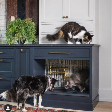 Who could forget about our pets? They are part of the family too, and use the kitchen just as much as the rest of us. That’s why whenever there is a pet in a home, I like to incorporate pet drawers into the kitchen design. Here are a few examples to keep their items hidden away, but within arm’s reach. Pet Station, Soapstone Counters, Kitchen Trends, Kitchen Tops, Luxury Kitchen, The Ranch, Kitchen Space, Family Pet, Interior Design Trends