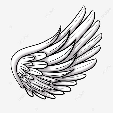 Single Drawing, Wing Drawing, Wing Pattern, Wings Png, Drawing Png, Wings Drawing, Lemon Patterns, Bird Wings, Text Background