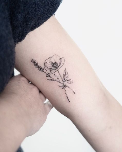 ~ 𝑴𝑨𝑹𝑰𝑬-��𝑺𝑶𝑷𝑯𝑰𝑬 ~ on Instagram: “Poppy flower and lavender ✨🌸 • 📸 @bastishowsbest • • • #tattoo #tattooart #tattooideas #smalltattoo #daintytattoo #fineline #finelinetattoo…” Larkspur And Poppy Flower Tattoo, Lavender And Poppy Tattoo, Poppy And Violet Flower Tattoo, Violet And Lavender Tattoo, Larkspur And Poppy Tattoo, Fine Line Lavender Tattoo, Sapphic Tattoo, Violet Flower Tattoos, Larkspur Tattoo