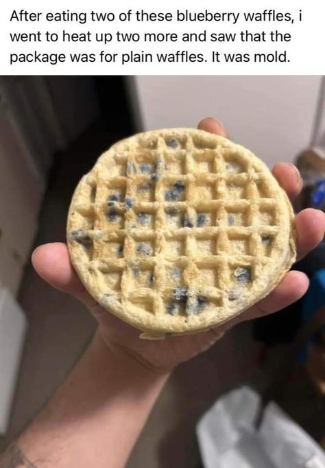 Forbidden Snacks, Funny Food Memes, Blueberry Waffles, Food Memes, Daily Funny, Food Humor, Laughing So Hard, Really Funny Pictures, Memes Funny