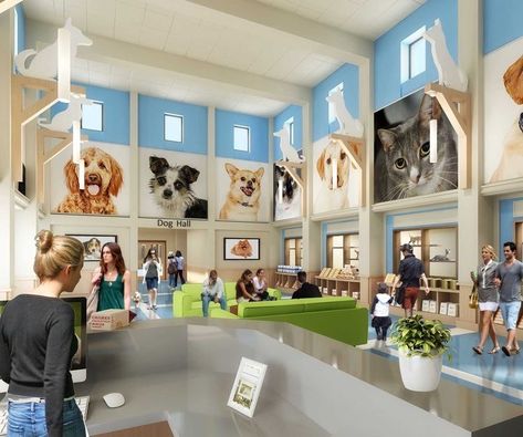 Animal Sanctuary Design, Animal Shelter Ideas, Dog Architecture, Dog Daycare Design, Dog Boarding Ideas, Animal Shelter Design, Indoor Dog Park, Pet Store Design, Pet Daycare