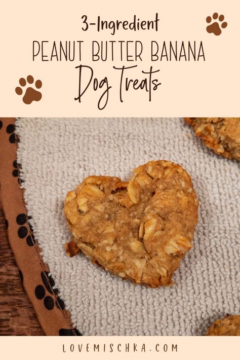 How to Make Easy, Healthy, Homemade Peanut Butter Banana Dog Treats with Only THREE Ingredients | lovemischka.com | #dogrecipes #dogtreats #homemadedogtreats Peanut Butter Banana Dog Treats, Banana Dog Treats, Dog Cookie Recipes, Dog Cake Recipes, Dog Treats Homemade Easy, Easy Dog Treat Recipes, Peanut Butter And Banana, Dog Biscuit Recipes, Easy Dog Treats