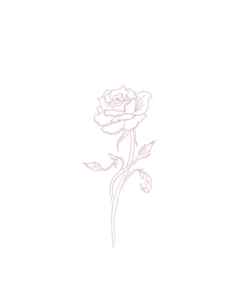 Simplistic Rose Tattoo, Rose Petal Tattoo, Feminine Rose Tattoo, Fine Line Rose Tattoo, Fine Line Rose, Procreate Ideas, Autumn Tattoo, Phrase Tattoos, Wrap Tattoo