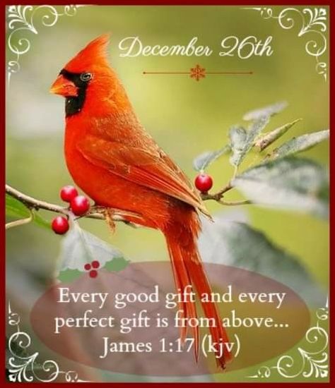 December 26 Bible Verse, December 26 Blessings, December Verses, December Blessings, December Scriptures, James 1 17, Daily Blessings, Precious Animals, December 26