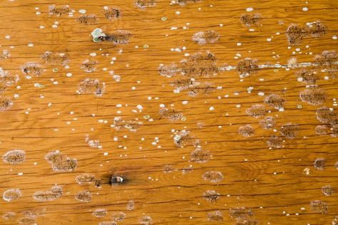 How To Remove Mold From Wood How To Clean Mold From Wood Furniture, Clean Mildew Off Wood, Cleaning Mildew Off Wood, Clean Mold Off Wood, Mold Remover On Wood, Remove Mold From Wood, Remove Mold From Walls, Diy Mold Remover, How To Remove Mold