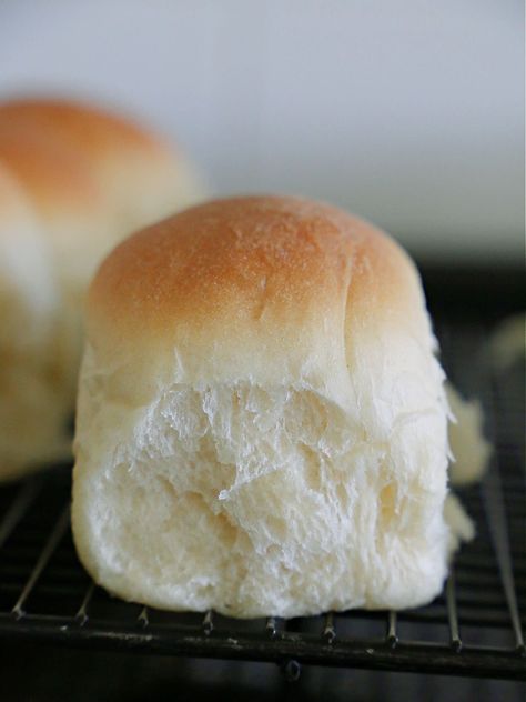 These amazing pillow-soft dinner rolls are made using a bread machine. Yes, that’s right! By using the bread dough cycle, you can create irresistible dinner rolls. Bread Machine Soft Rolls, Bread Maker Yeast Rolls, Dinner Rolls Bread Machine Dough Recipe, Homemade Dinner Rolls Bread Machine, Bread Machine Dinner Roll Recipes, Soft Dinner Rolls Bread Machine, Dinner Rolls Recipe Bread Machine, Dinner Rolls Recipe For Bread Machine, Fluffy Bread Machine Rolls