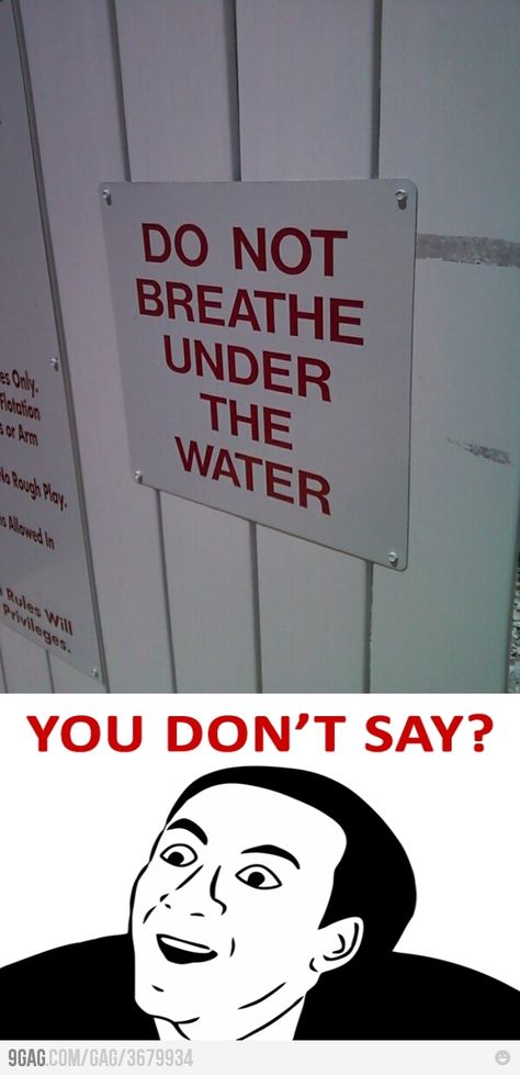 Well if you can't breath under the water... Sorry Percy Jackson. You can't do that at this pool. You Dont Say Meme, Funny Boyfriend Memes, Maximum Ride, You Dont Say, Memes Sarcastic, Crazy Funny Memes, Memes Humor, Really Funny Pictures, Really Funny Memes