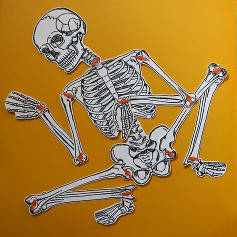 Diy Halloween Skeleton, Diy Skeleton, 3d Skeleton, Mr Bones, Kindergarten Learning Activities, Kindergarten Learning, Skeleton Print, Card Tricks, Cardboard Art